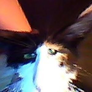 Meet your Posher, Mark n sue